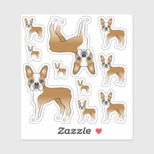 Fawn And White Boston Terrier Dog Illustrations Sticker