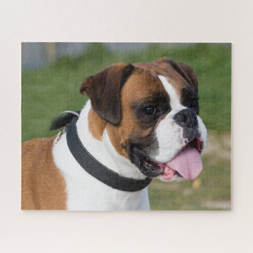 Fawn and White Boxer Puppy Dog Jigsaw Puzzle