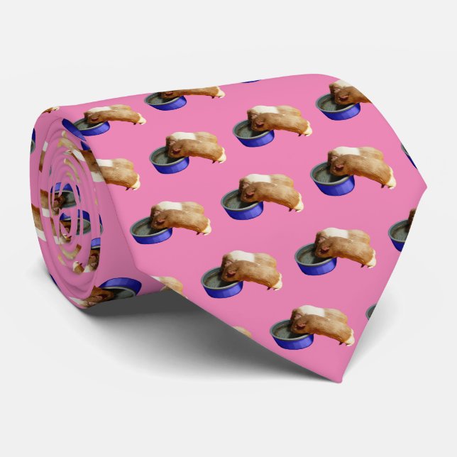 Fawn And White Guinea Pigs, Neck Tie (Rolled)