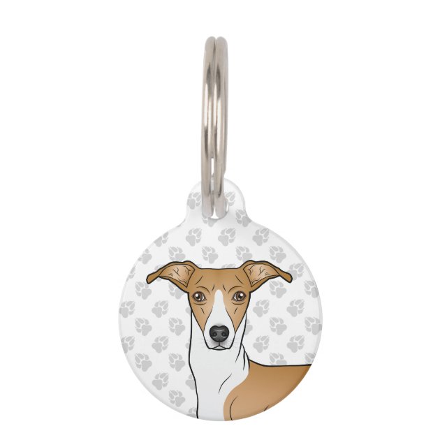 Fawn And White Italian Greyhound Dog Head Pet ID Tag Zazzle