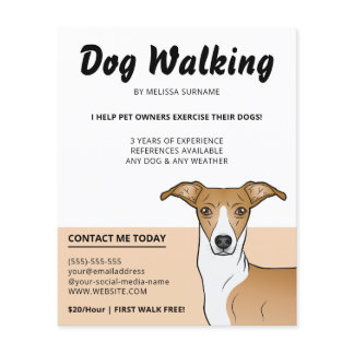 Fawn And White Italian Greyhound - Dog Walker Flyer