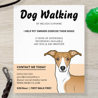 Fawn And White Italian Greyhound - Dog Walker Flyer