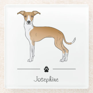 Fawn And White Italian Greyhound With Custom Text Glass Coaster