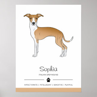 Fawn And White Italian Greyhound With Custom Text Poster