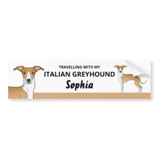 Fawn And White - Travelling With My Iggy Dog Bumper Sticker