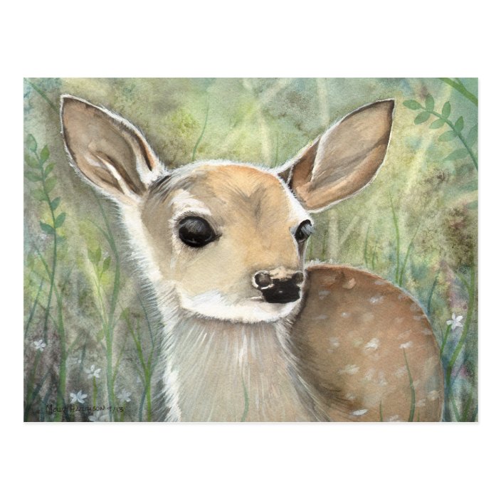 Fawn Baby Deer Wildlife Watercolor Painting Postcard Zazzle Com