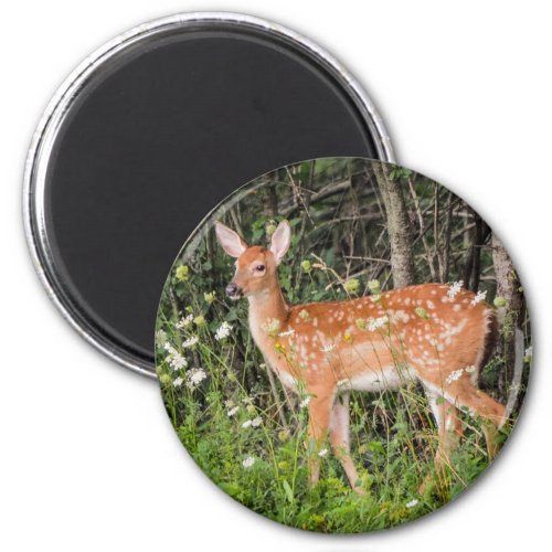 Fawn Baby Deer Woodland Animals Round Magnet