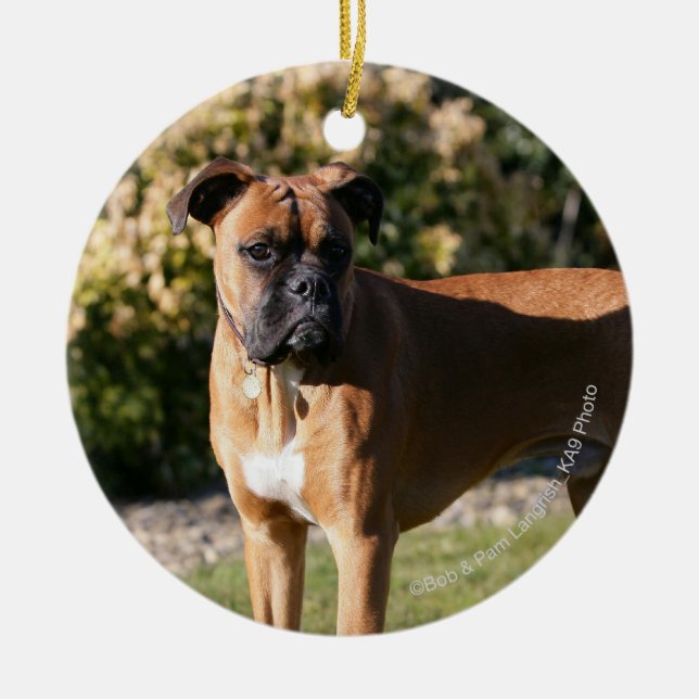 Fawn Boxer Dog Standing Ceramic Ornament (Front)