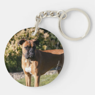 Fawn Boxer Dog Standing Keychain