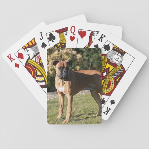 Fawn Boxer Dog Standing Poker Cards