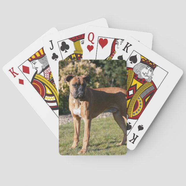 Fawn Boxer Dog Standing Poker Cards (Back)