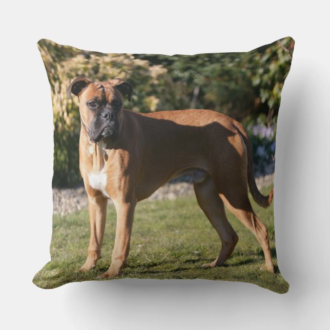 Fawn Boxer Dog Standing Throw Pillow (Front)