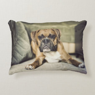 Fawn Boxer Pup Accent Pillow