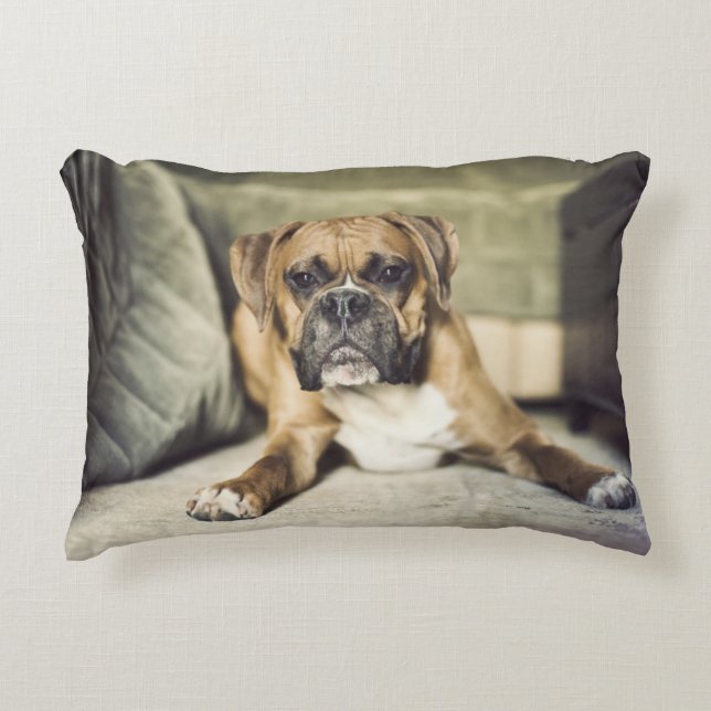 Fawn Boxer Pup Accent Pillow (Front)