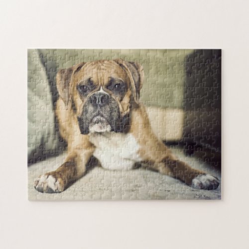 Fawn Boxer Pup Jigsaw Puzzle