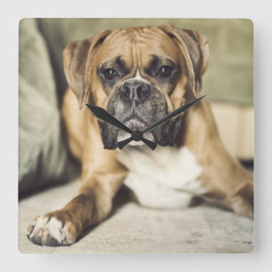 Fawn Boxer Pup Square Wall Clock