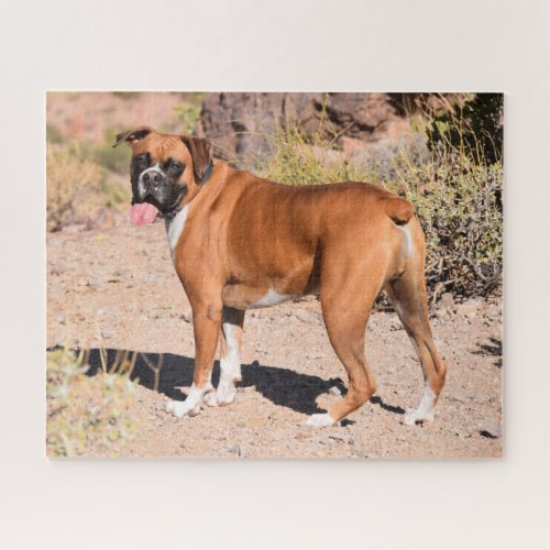 Fawn Boxer Puppy Dog Jigsaw Puzzle