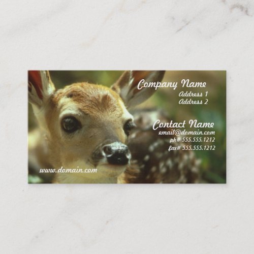 Fawn Business Card