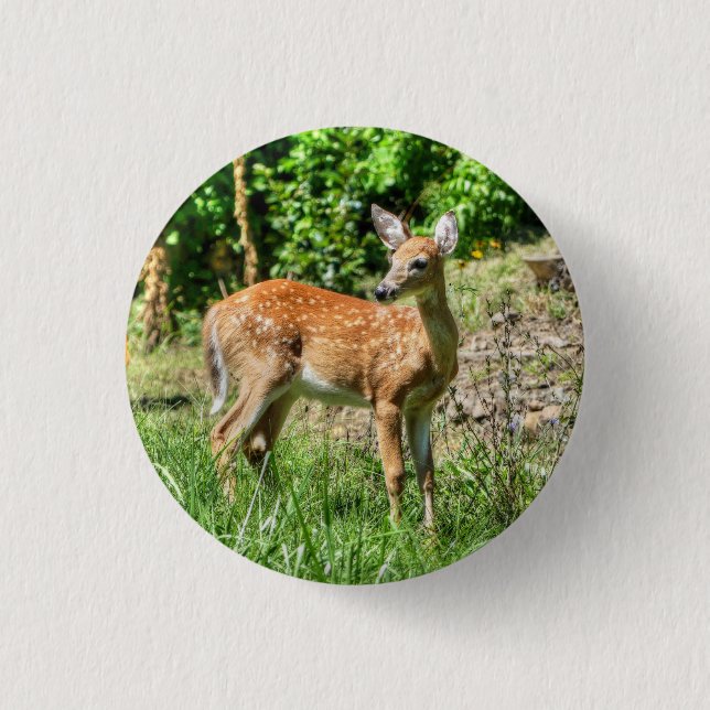 Fawn  button (Front)