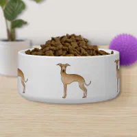 Greyhound bowl deals