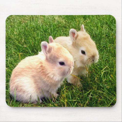Fawn Dwarf Bunny Rabbits Mouse Pad