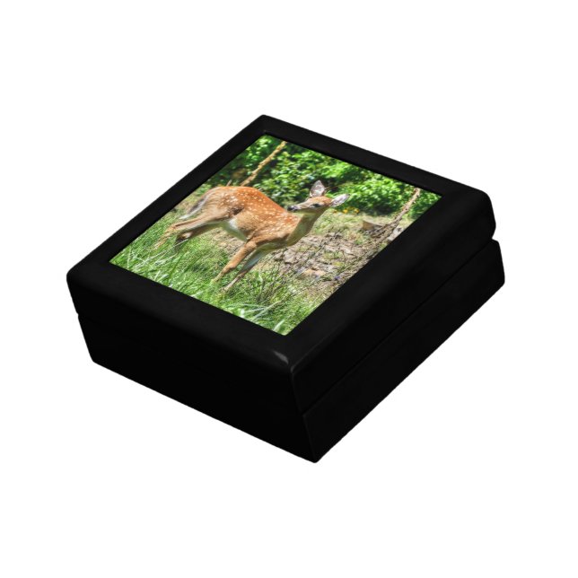 Fawn  gift box (Side)