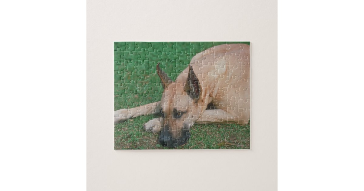 Fawn Great Dane Dog Puzzle Zazzle