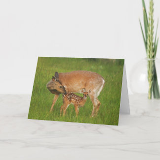Fawn Greeting Card No. 8