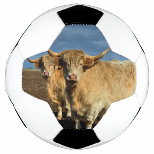 Fawn Highland Cows Soccer Ball