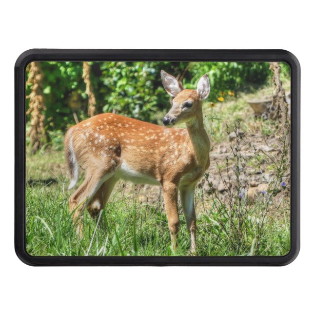 Fawn  hitch cover (Front)