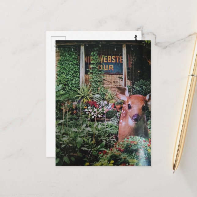Fawn in the Garden Collage Postcard (Front/Back In Situ)