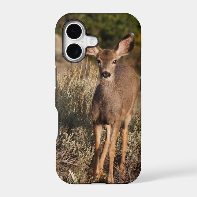 Fawn iPhone 5 Case (Back)
