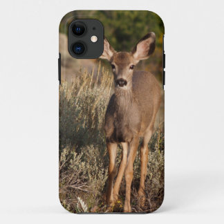 Fawn iPhone 5 11 Case