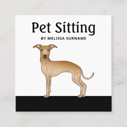 Fawn Italian Greyhound Dog _ Pet Sitting Services Square Business Card