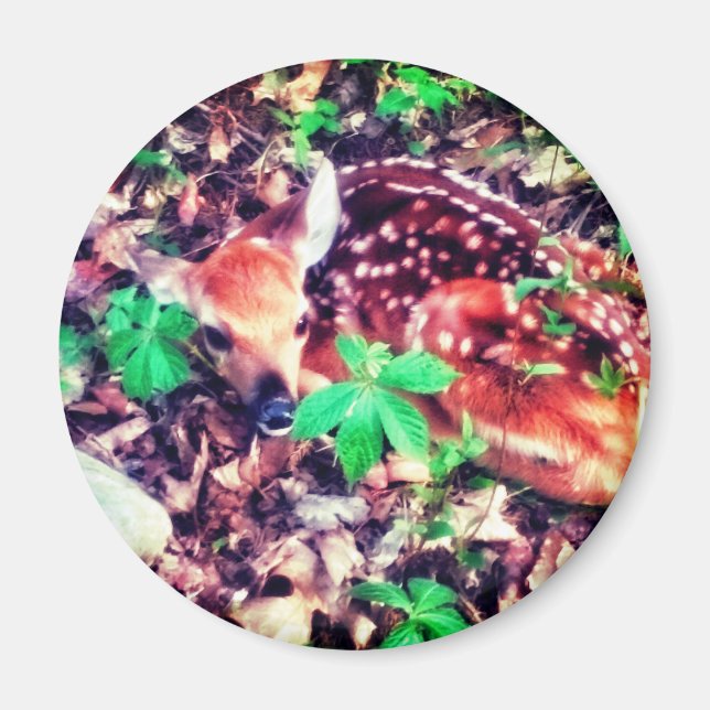 FAWN MAGNET (Front)