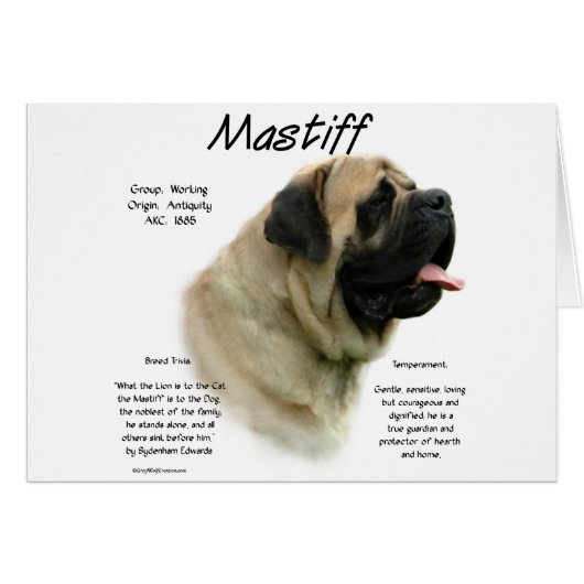 Fawn Mastiff History Cards (Front Horizontal)