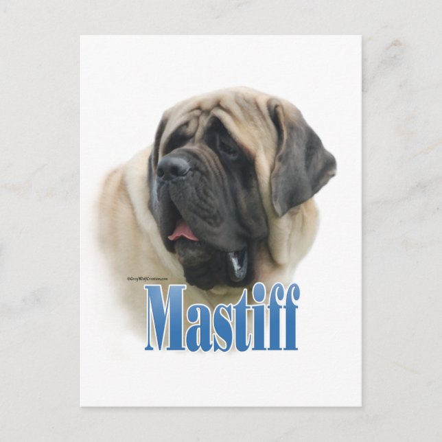 Fawn Mastiff Name Postcard (Front)