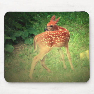 Fawn Mouse Pad