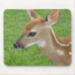 Fawn Mouse Pad