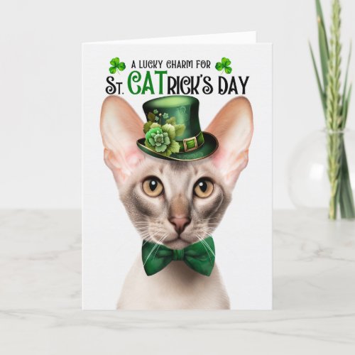 Fawn Oriental Shorthair Cat St CATricks Day Holiday Card