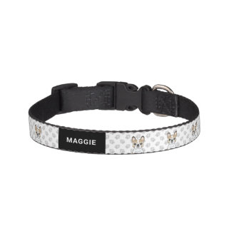 Fawn Pied French Bulldog Frenchie Cute Dog &amp; Name Pet Collar