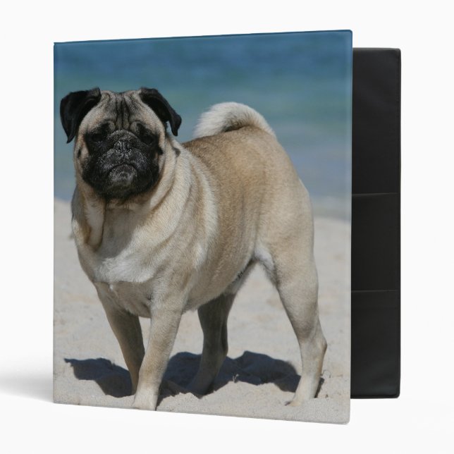 Fawn Pug at the Beach Binder (Front/Inside)