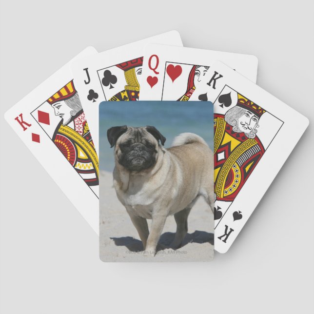 Fawn Pug at the Beach Poker Cards (Back)