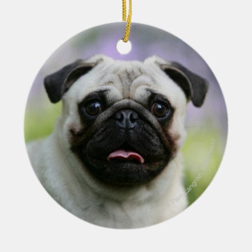 Fawn Pug on Alert Ceramic Ornament