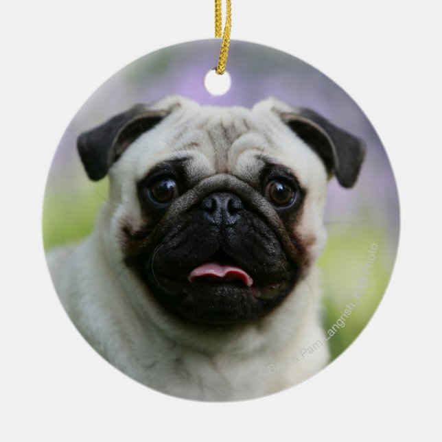 Fawn Pug on Alert Ceramic Ornament (Front)