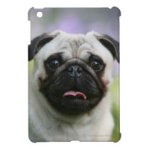 Fawn Pug on Alert iPad Mini Cover