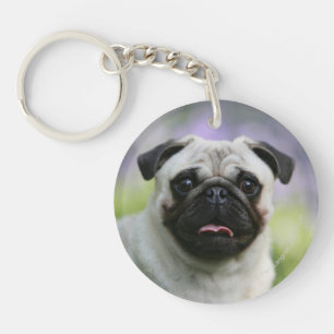 Fawn Pug on Alert Keychain