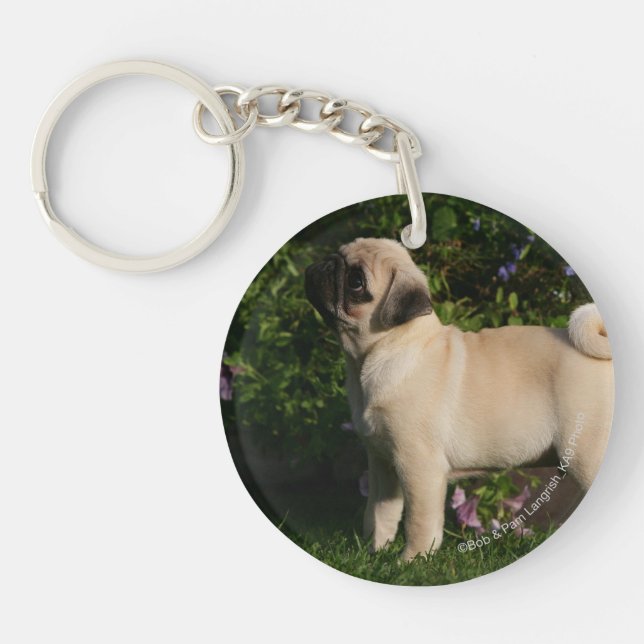 Fawn Pug Profile Keychain (Front)
