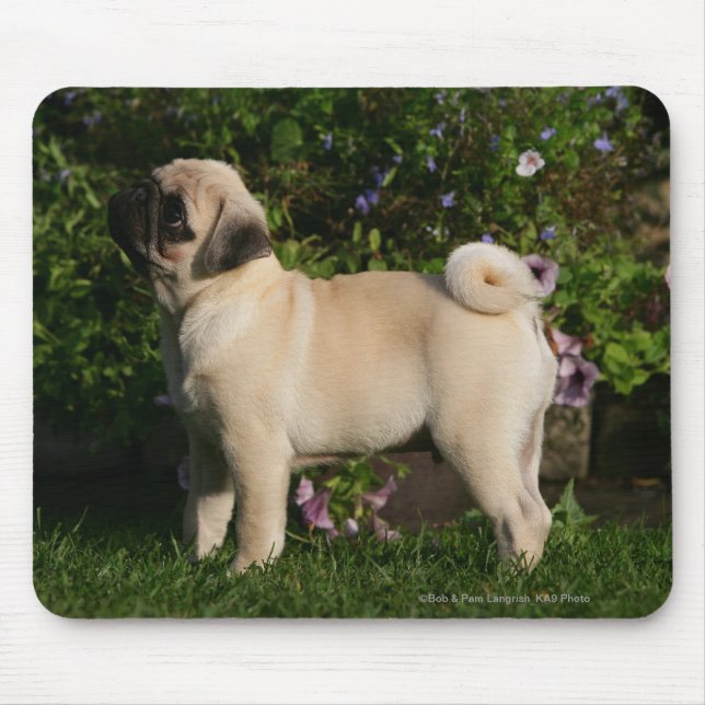 Fawn Pug Profile Mouse Pad (Front)