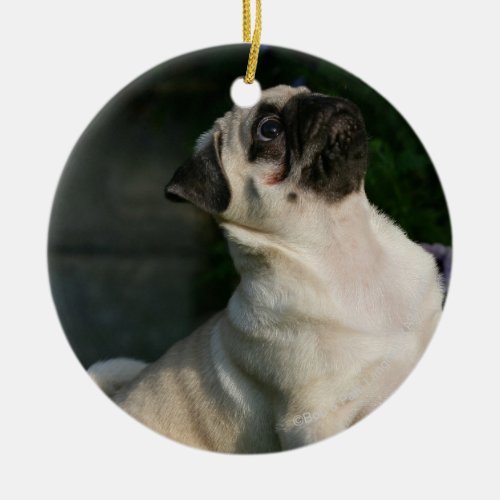 Fawn Pug Puppy Ceramic Ornament